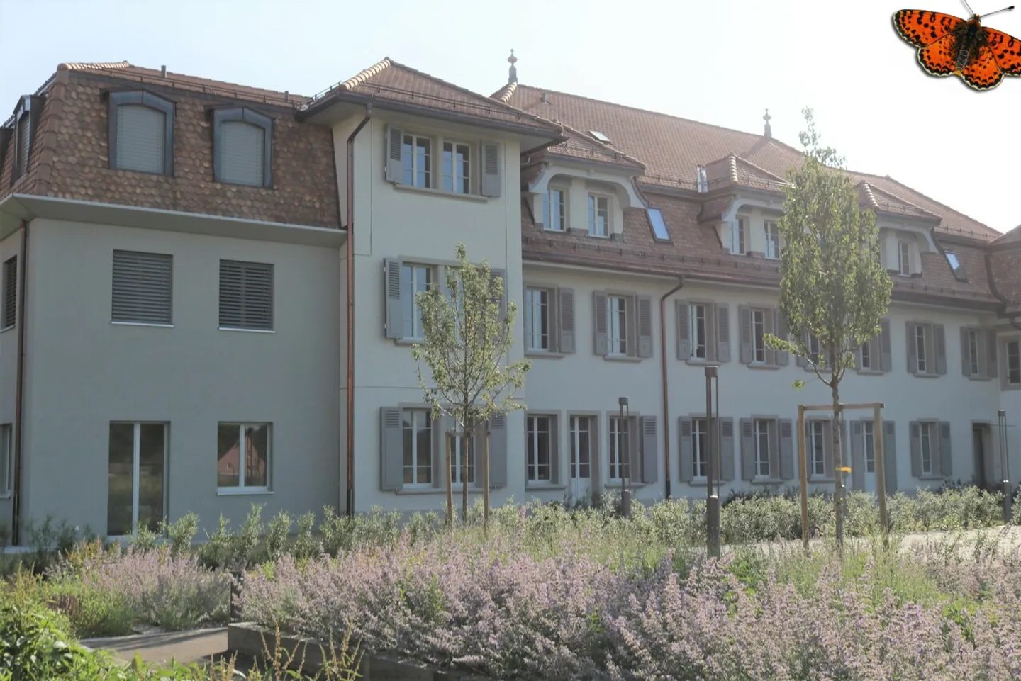 2 ROOMS - Close to all amenities - Photo 2 of 14