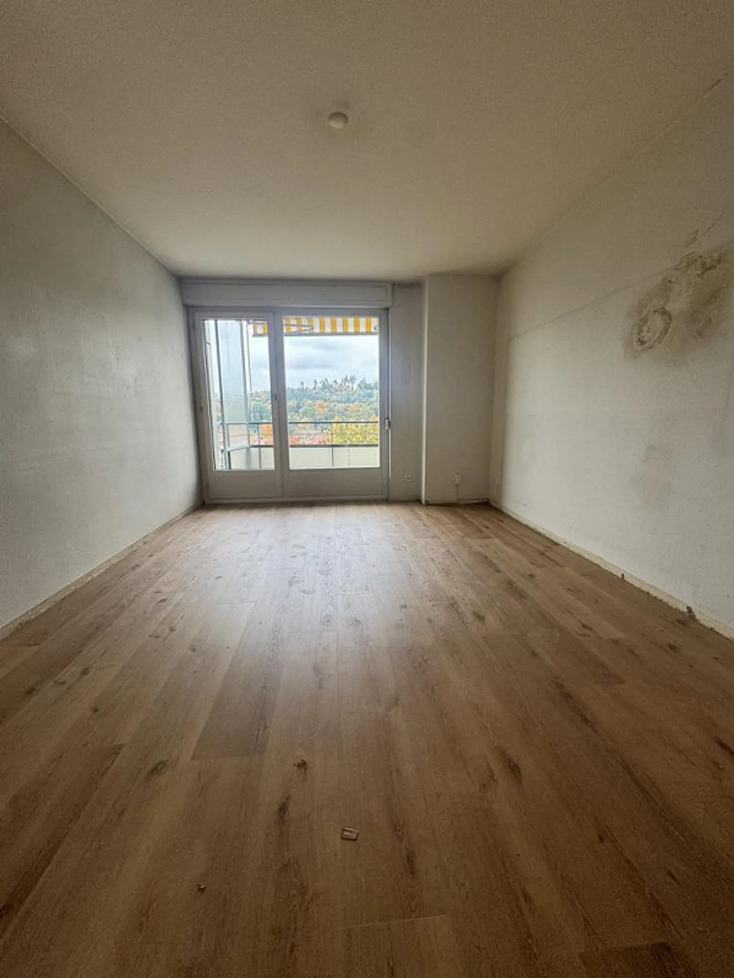 1 Monat Gratis! - Foto 4 von 6