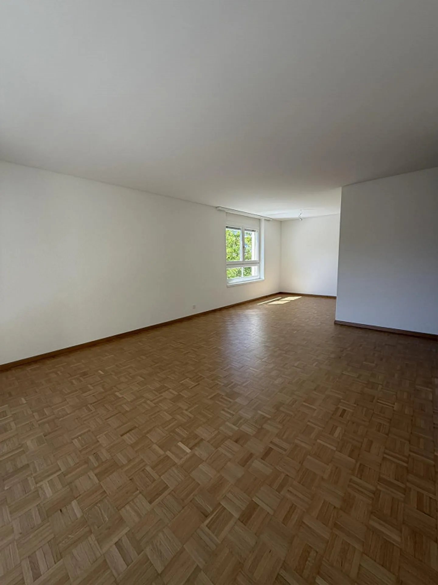 Charming 3.5 Room Apartment in Hochdorf - Photo 1 of 9