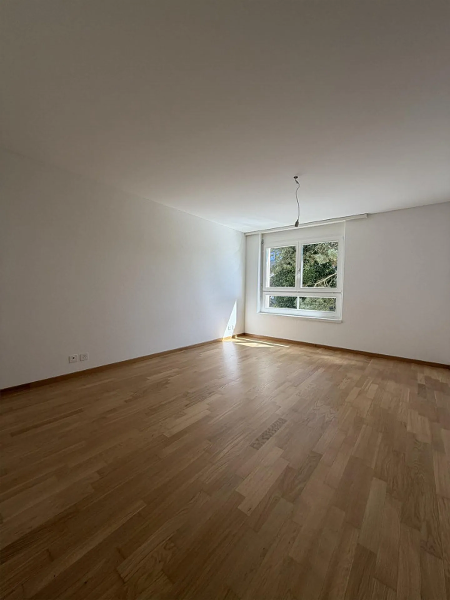 Charming 3.5 Room Apartment in Hochdorf - Photo 3 of 9