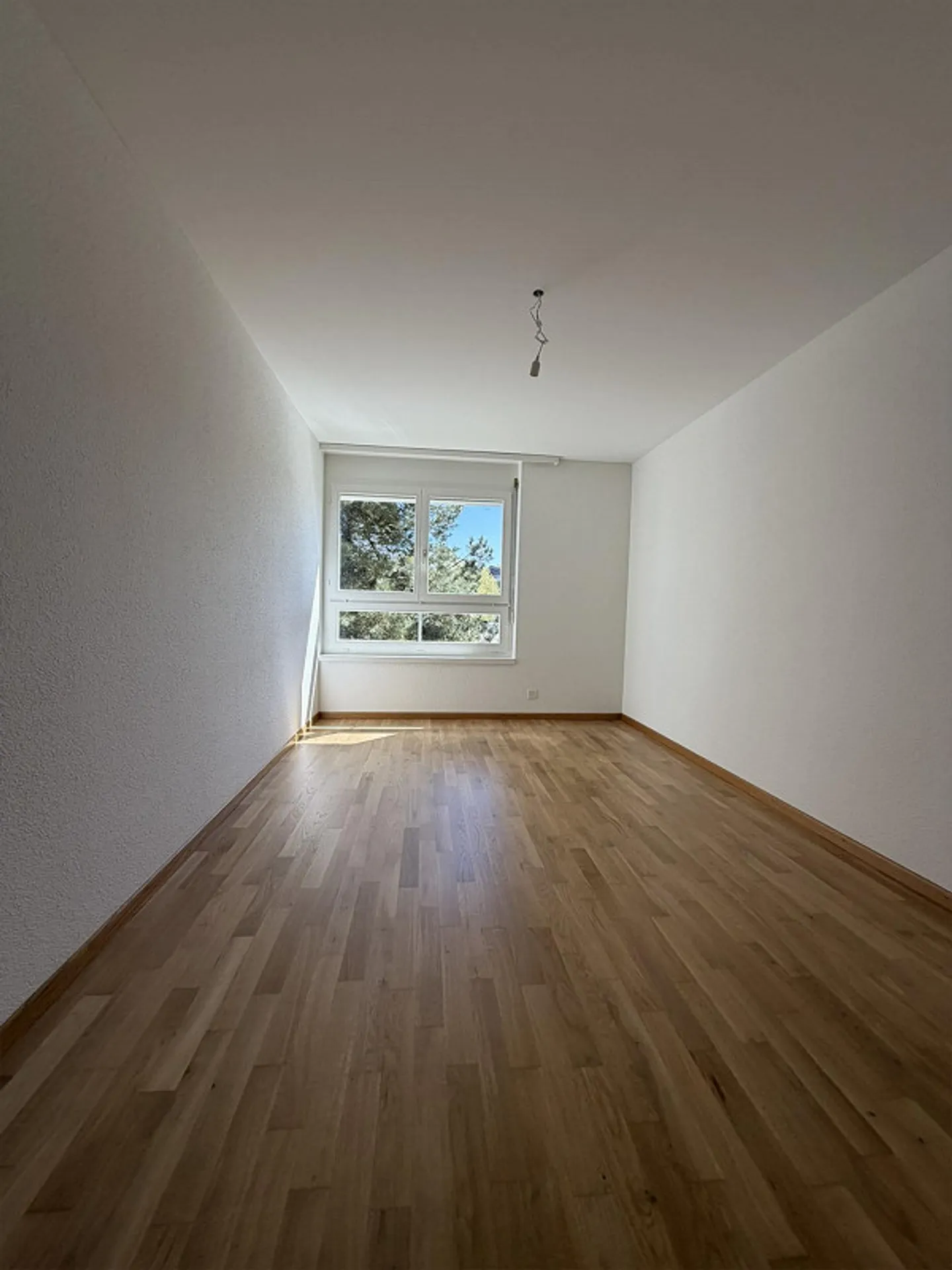Charming 3.5 Room Apartment in Hochdorf - Photo 4 of 9