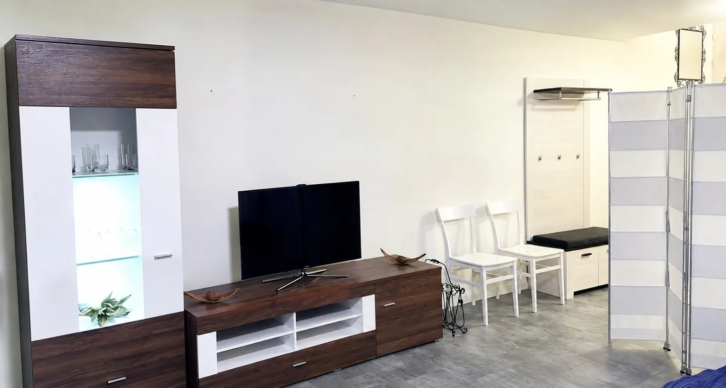 Möbliertes Studio in Birmensdorf - Foto 3 von 12