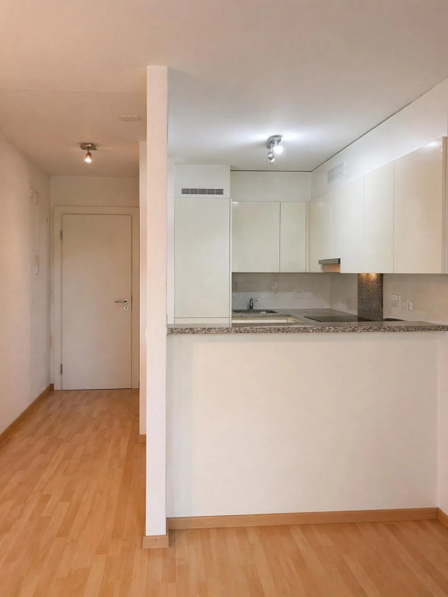 Appartamento 3.5 locali a Chur - Foto 2 di 11