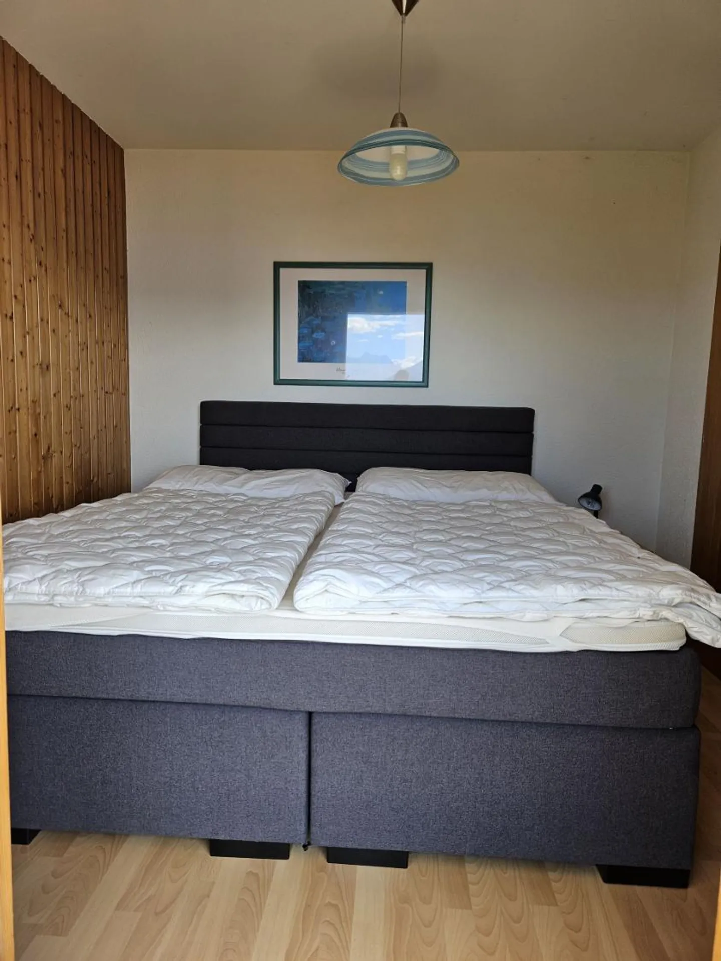 Vacation Rentals: Chalet View of the Alps - Photo 10 of 13