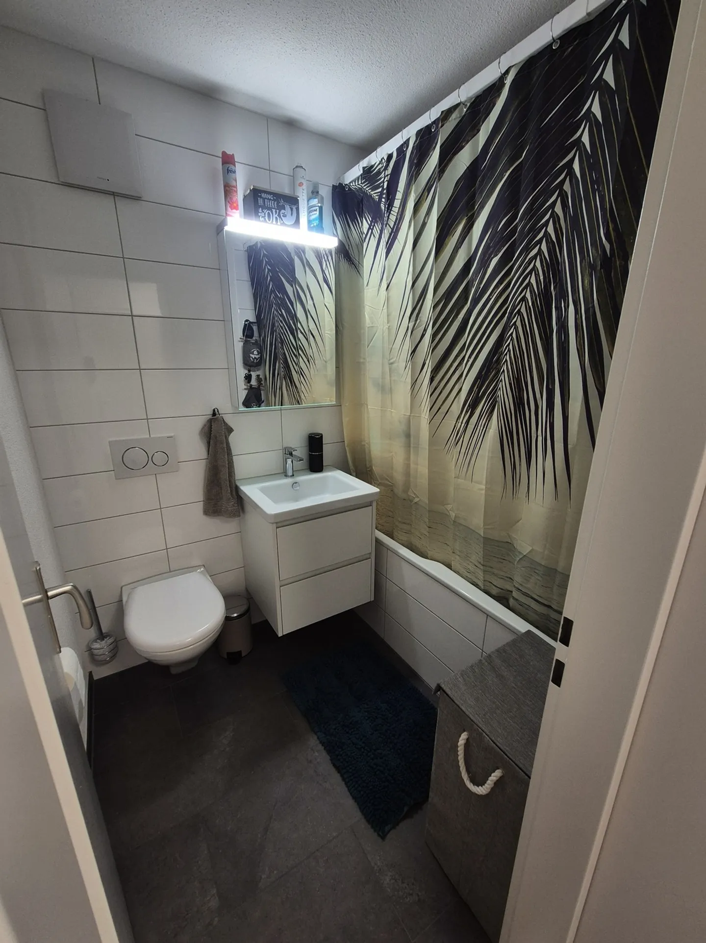 Appartement Charmant avec Vue sur le Lac - Photo 3 sur 5