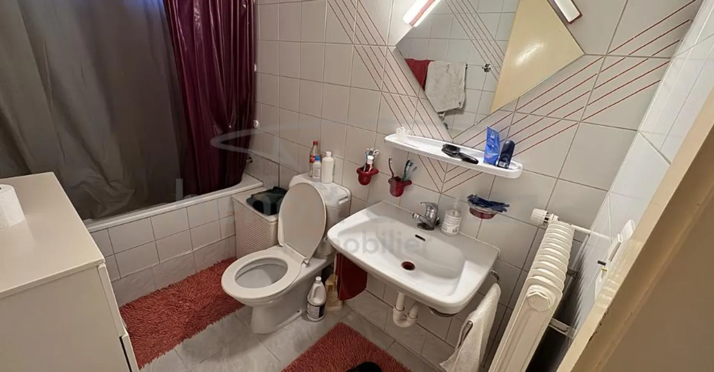 Charming 3.5 Room Apartment - Photo 4 of 5