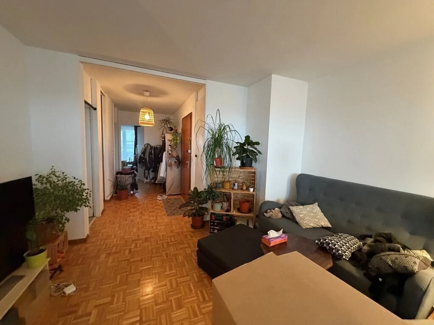 Carino appartamento 2 stanze - Foto 2 di 6