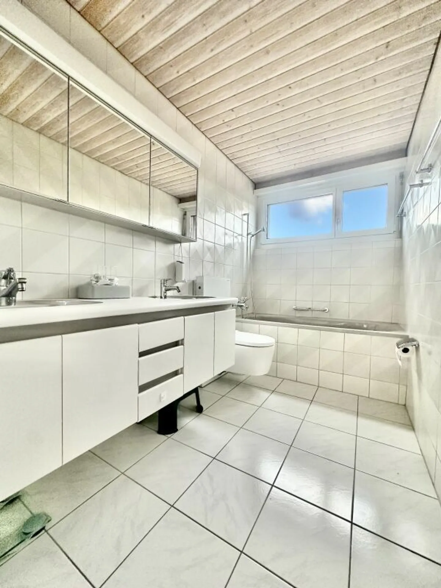 UNICA CASA UNIFAMILIARE A HERRENSCHWANDEN - Foto 12 di 17