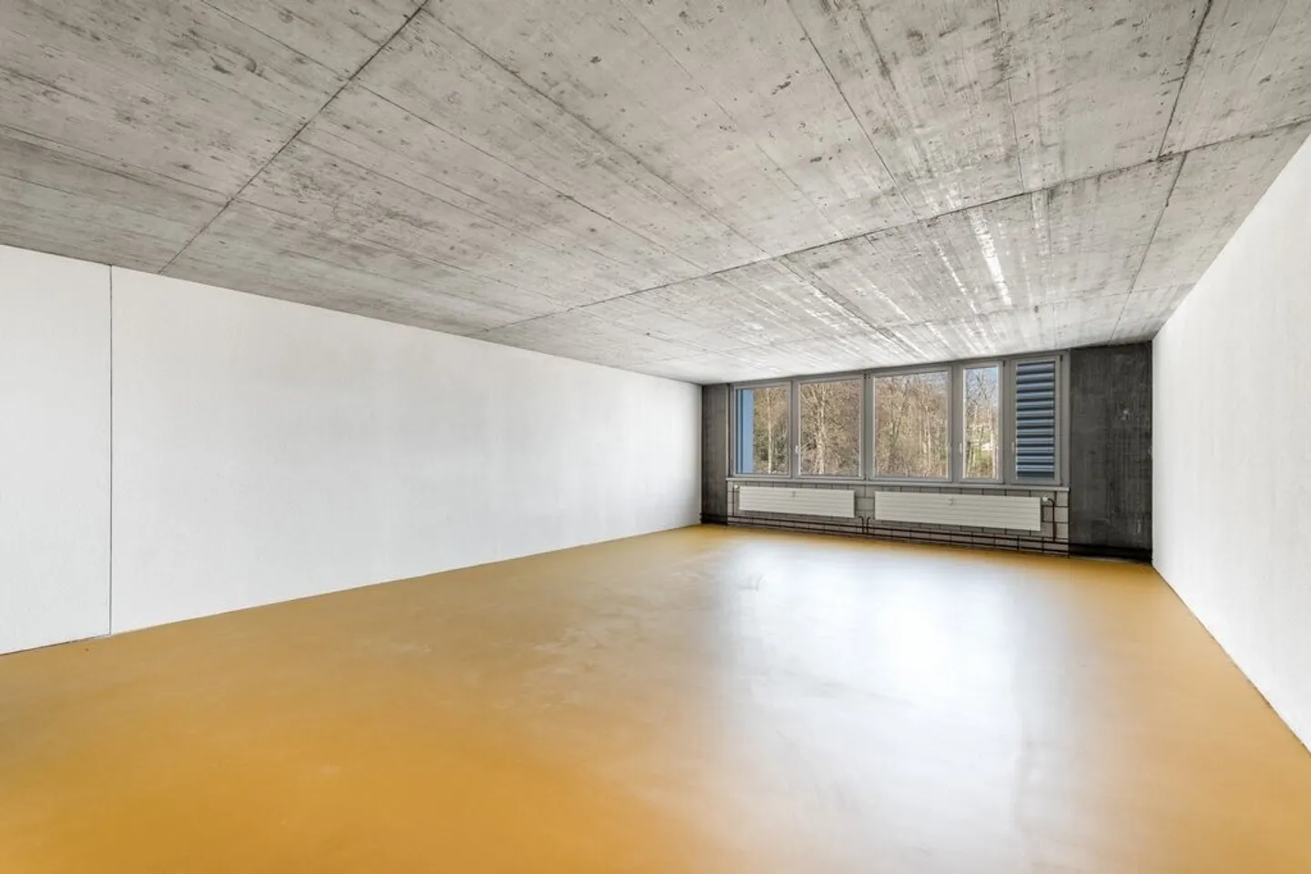 Spazio ufficio cerca nuovi inquilini - Foto 3 di 5