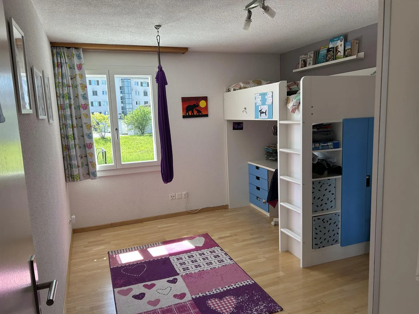 6.5 REFH - Foto 8 di 16