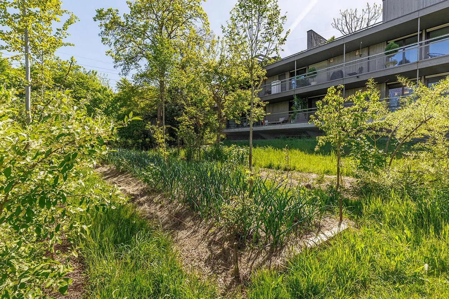 Appartamento 5½ locali, Vivere in permacultura, Comunità residenziale unica - Foto 1 di 7
