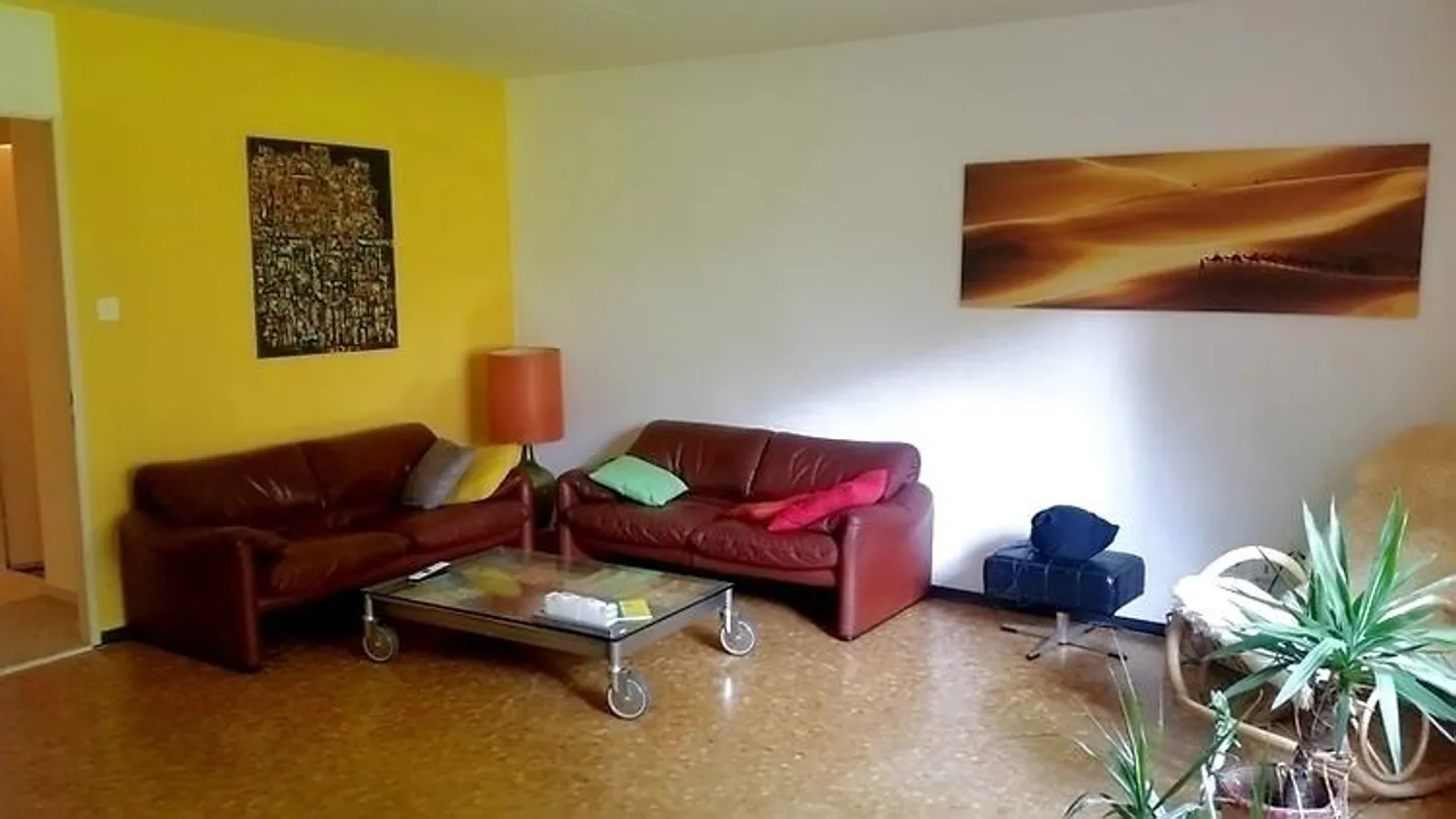 Möblierte Wohnung in Adliswil - Foto 2 von 10