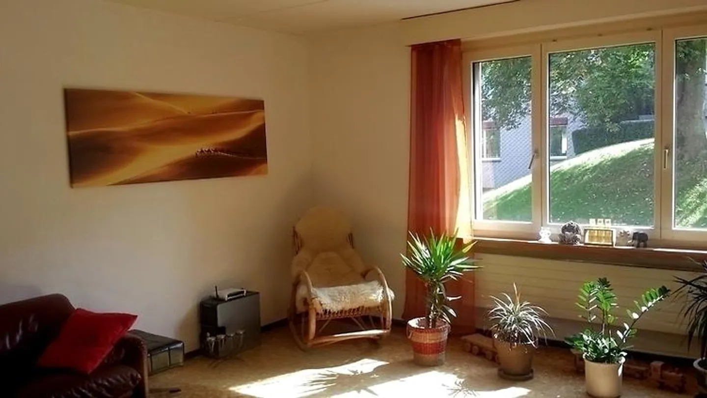 Möblierte Wohnung in Adliswil - Foto 3 von 10