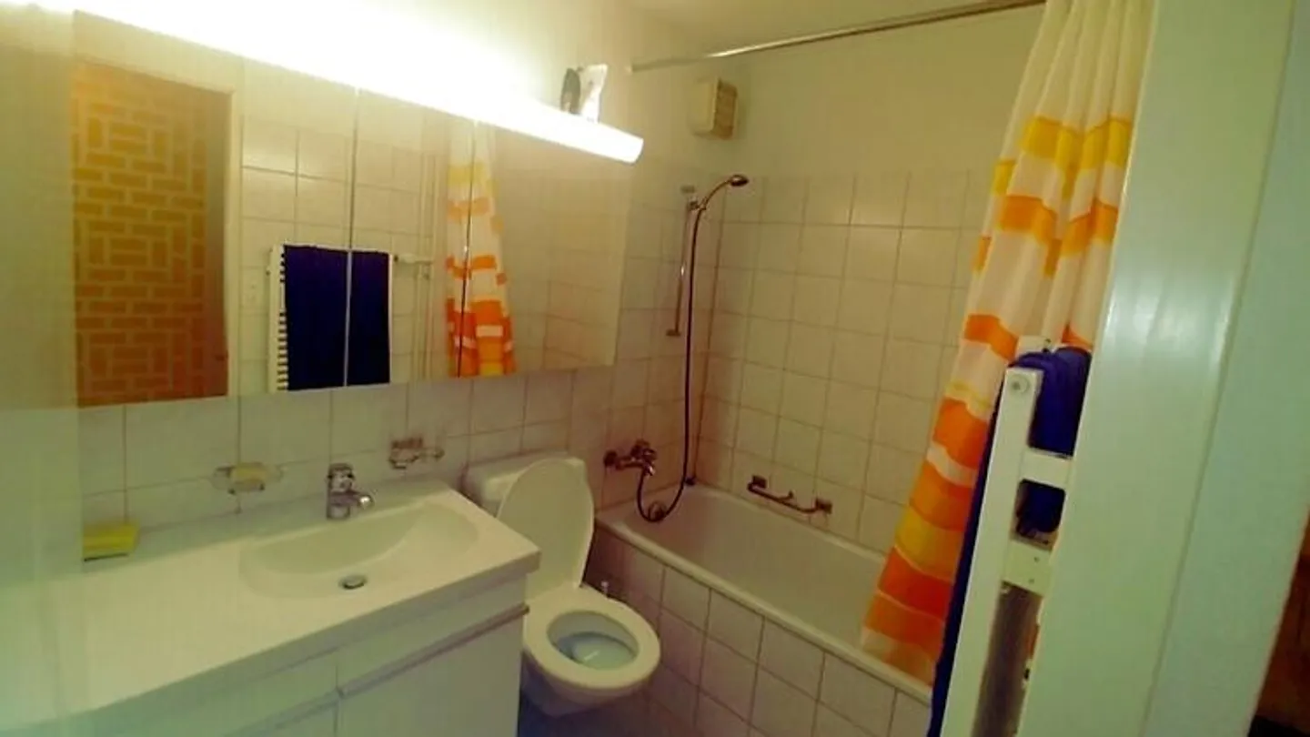 Möblierte Wohnung in Adliswil - Foto 8 von 10