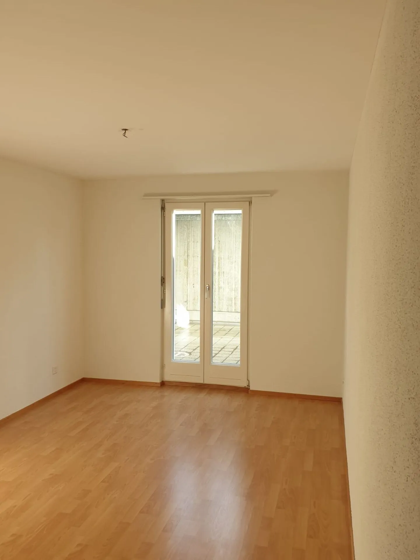 Rural 4-room apartment with patio - Photo 7 of 14