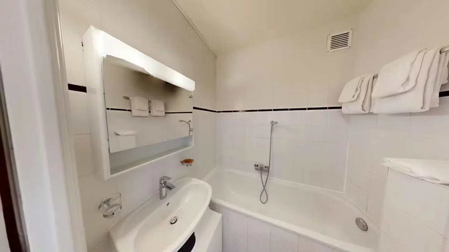 Charming Apartment in Geneva - Photo 9 of 10