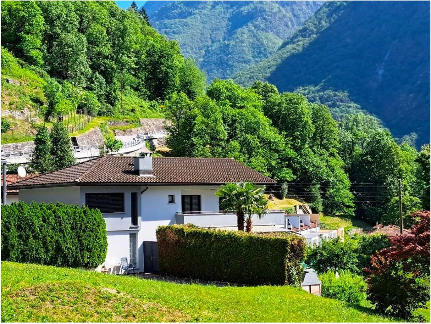 Stunning Family Dream · Grono - Photo 1 of 15