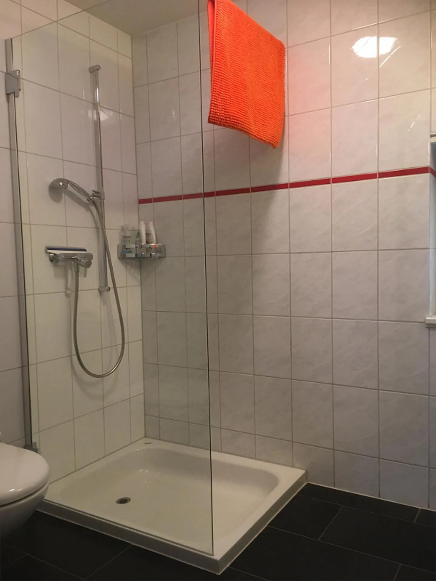 Appartamento 3,5 locali Piano Terra - Foto 5 di 11