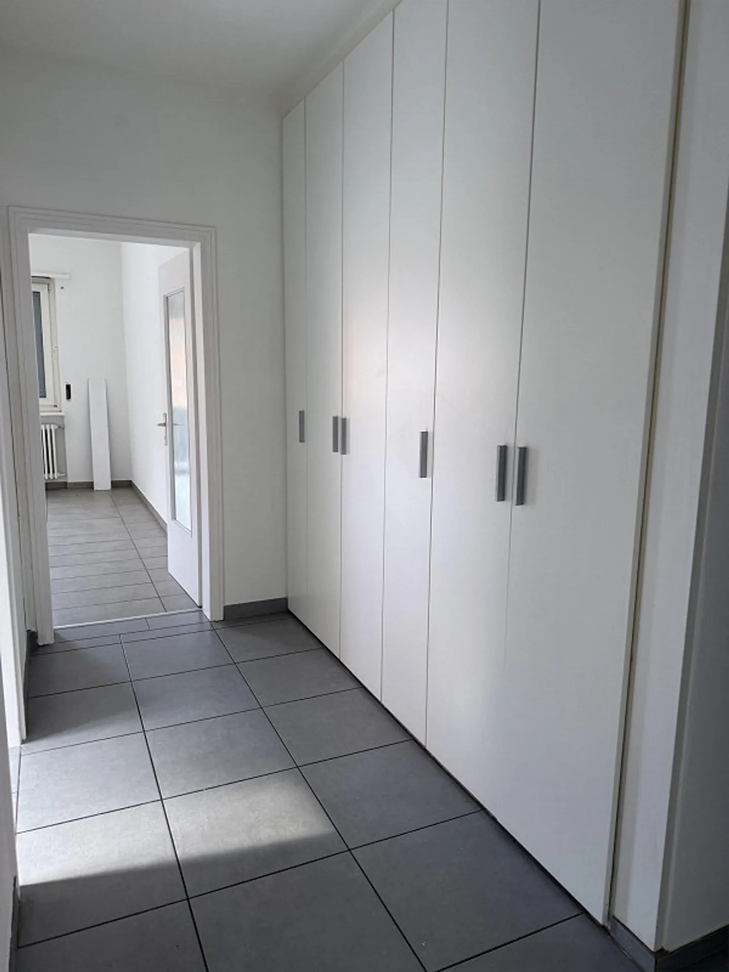 Appartamento spazioso a Bellinzona - Foto 2 di 6