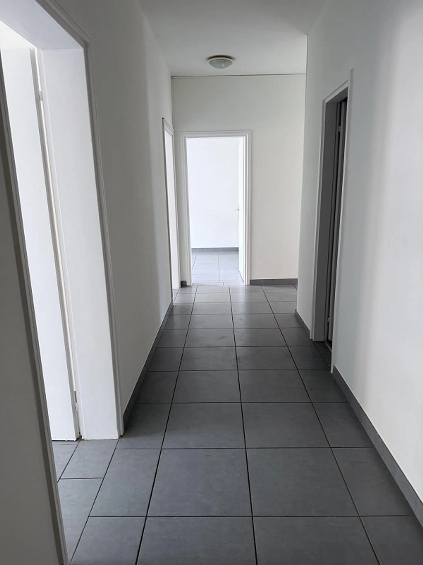 Appartamento spazioso a Bellinzona - Foto 1 di 6