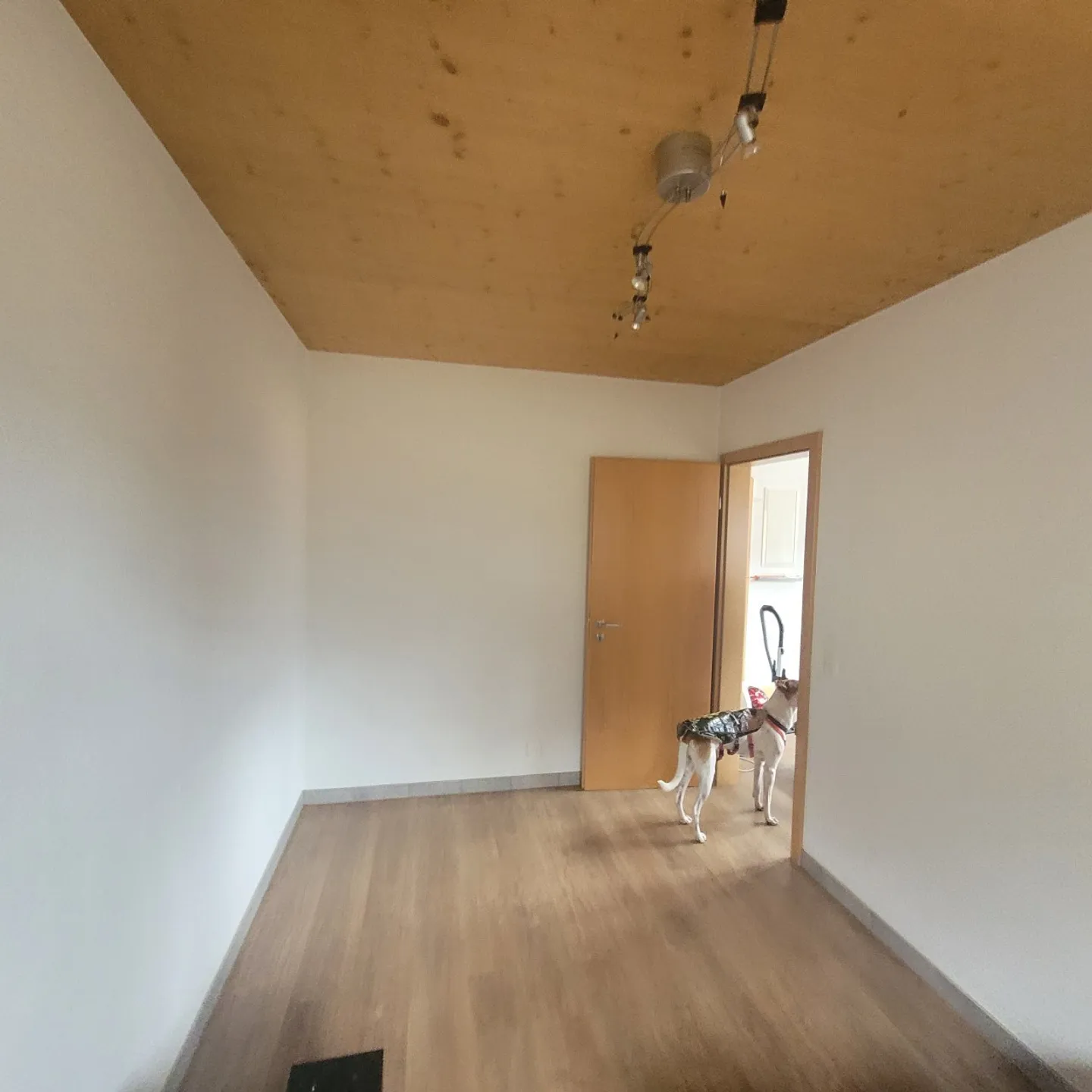 SUL LATO SOLEGGIATO DELLA VALLE DEL RHONE 1° residenza o casa vacanze - Foto 9 di 10