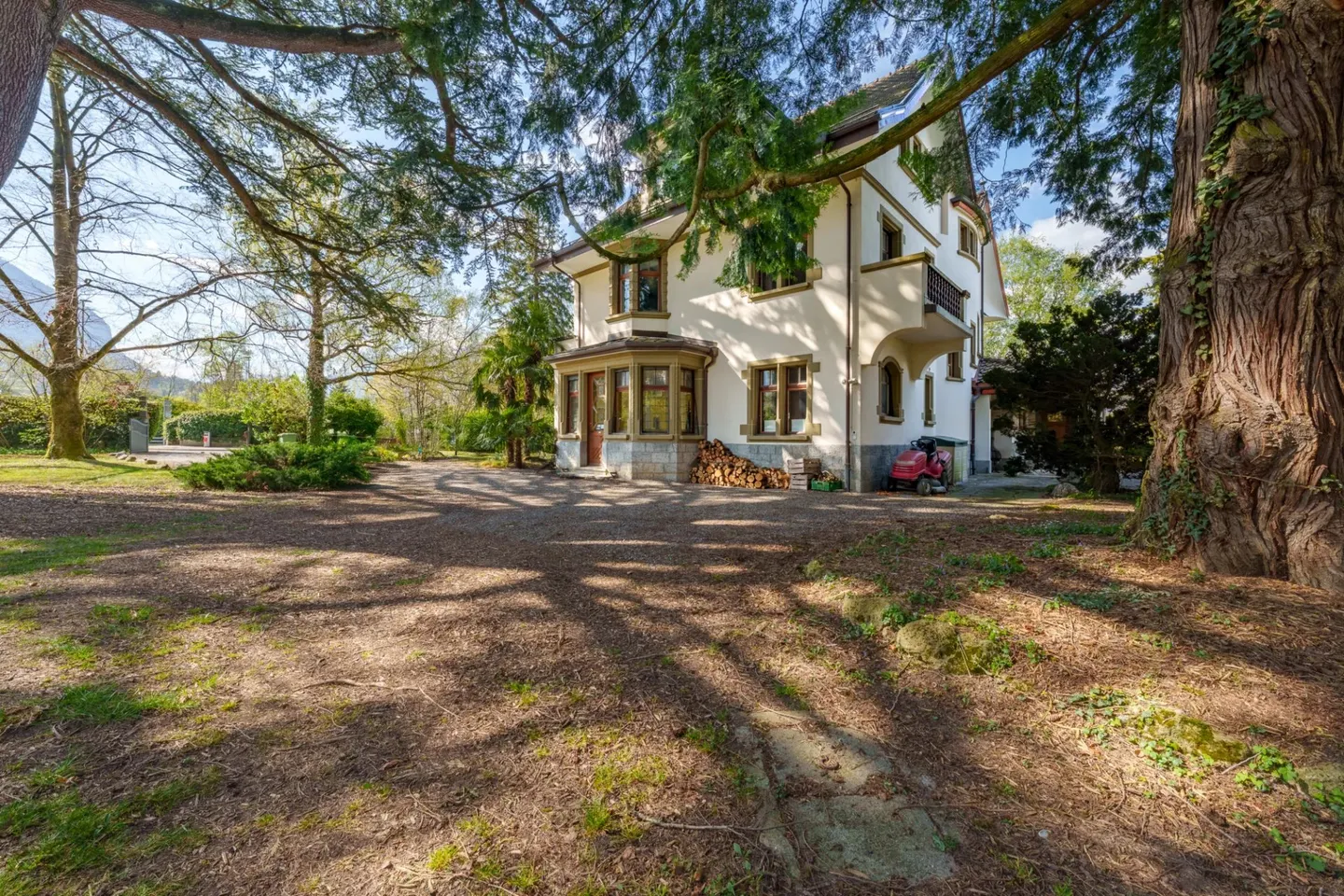 Elegant Master House in Bex - Photo 5 of 13