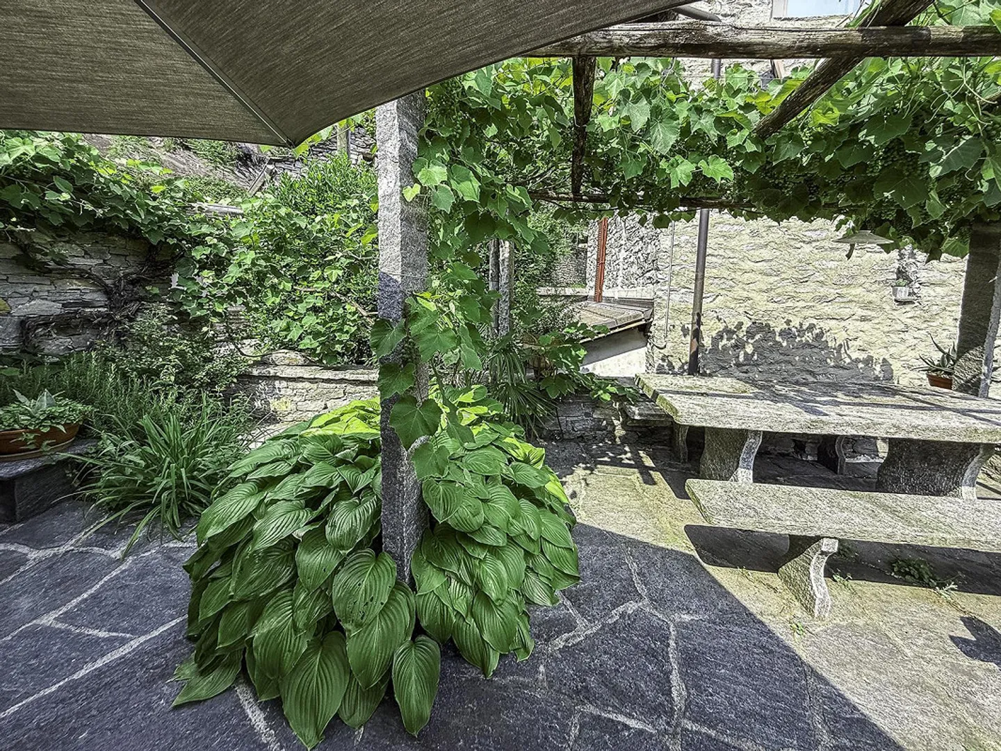 Second Home - Typical Ticino House Completely Renovated - Photo 7 of 29