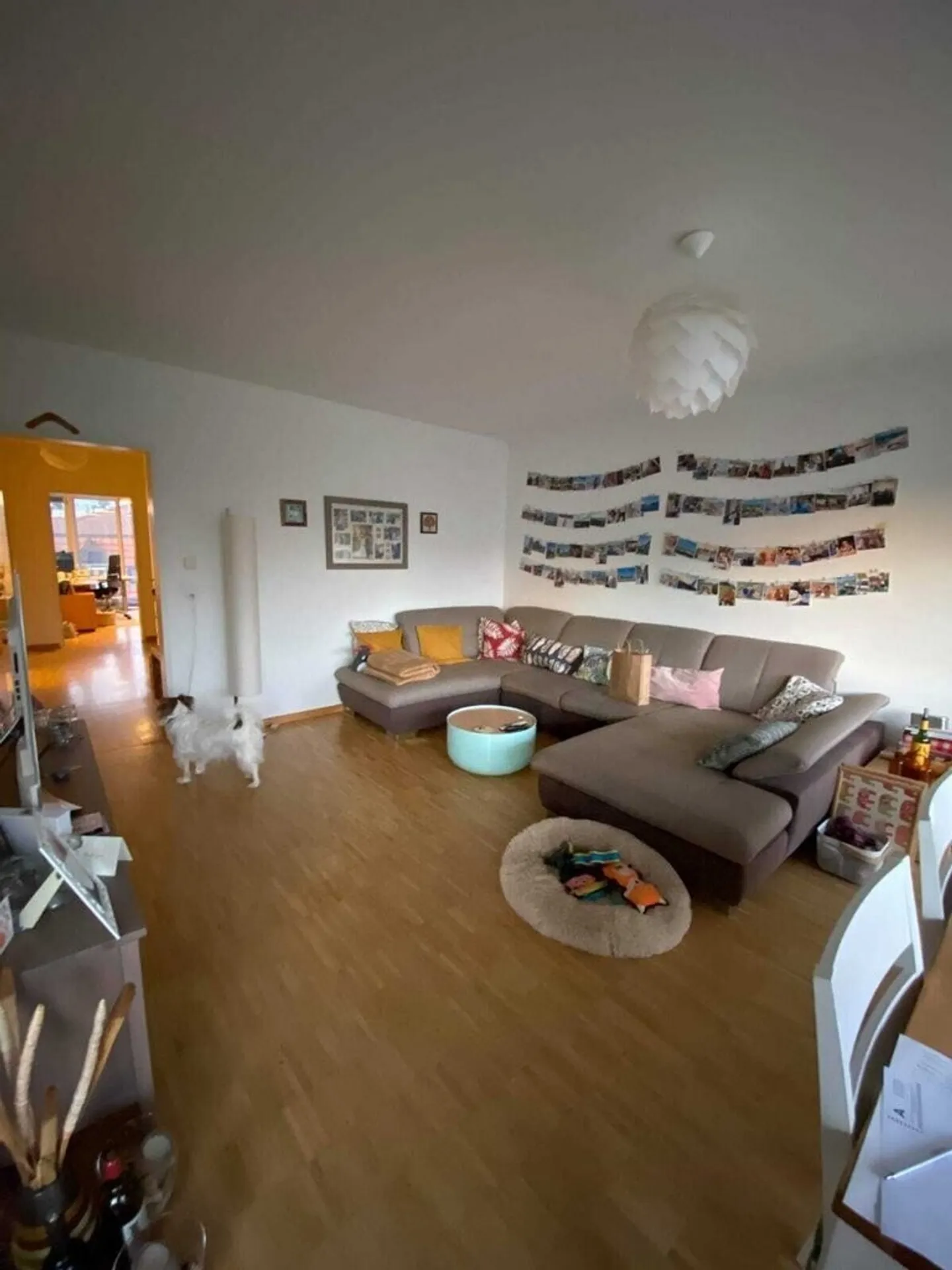 Stilvoll wohnen im Herzen von Basel, urban, grün & komfortabel - Foto 1 di 7