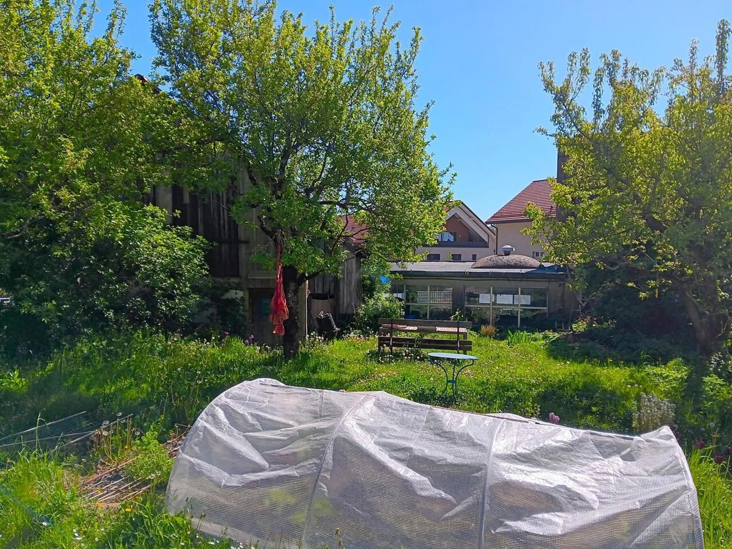 VIELSEITIGES POTENZIAL IM HERZEN DES DORFES - Foto 4 von 6