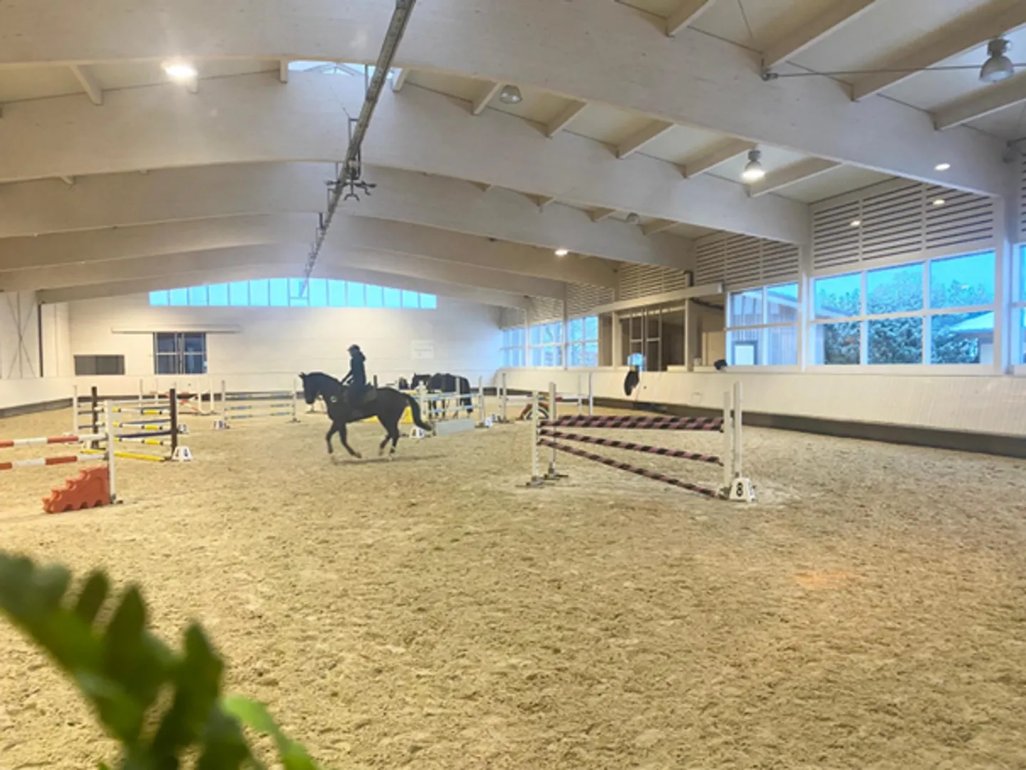 Établissement équestre avec arène - Photo 3 sur 10