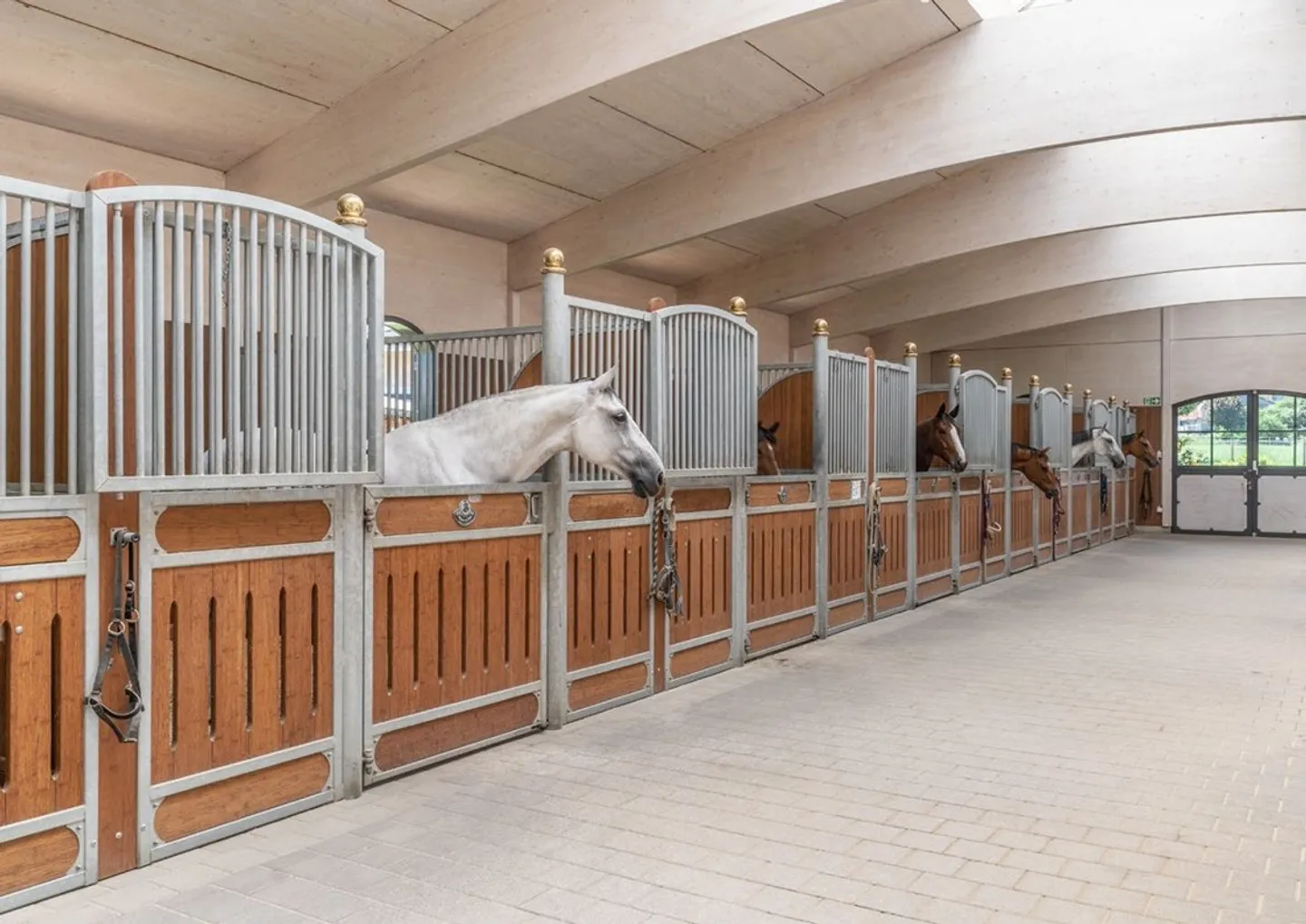 Établissement équestre avec arène - Photo 4 sur 10