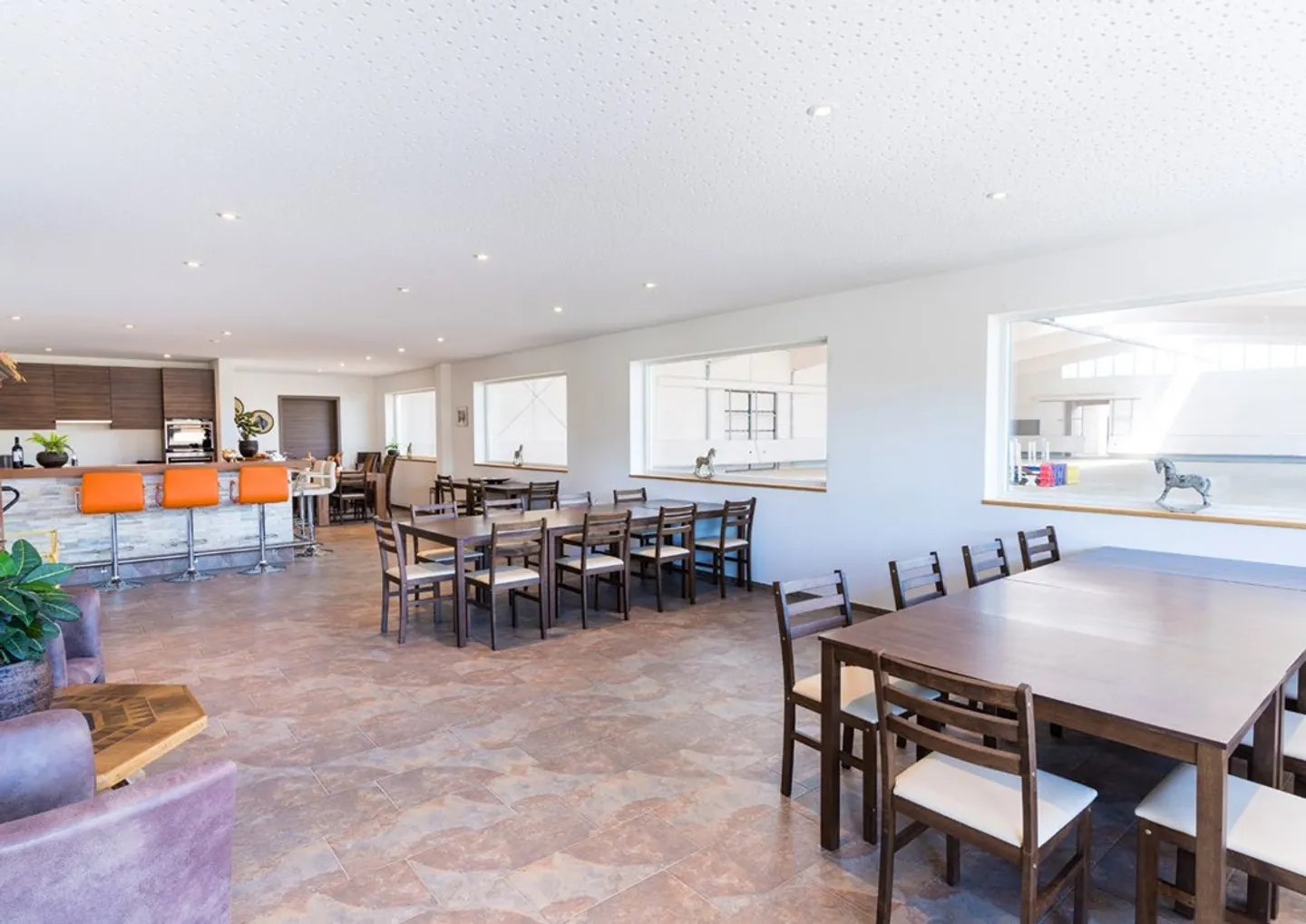 Établissement équestre avec arène - Photo 5 sur 10