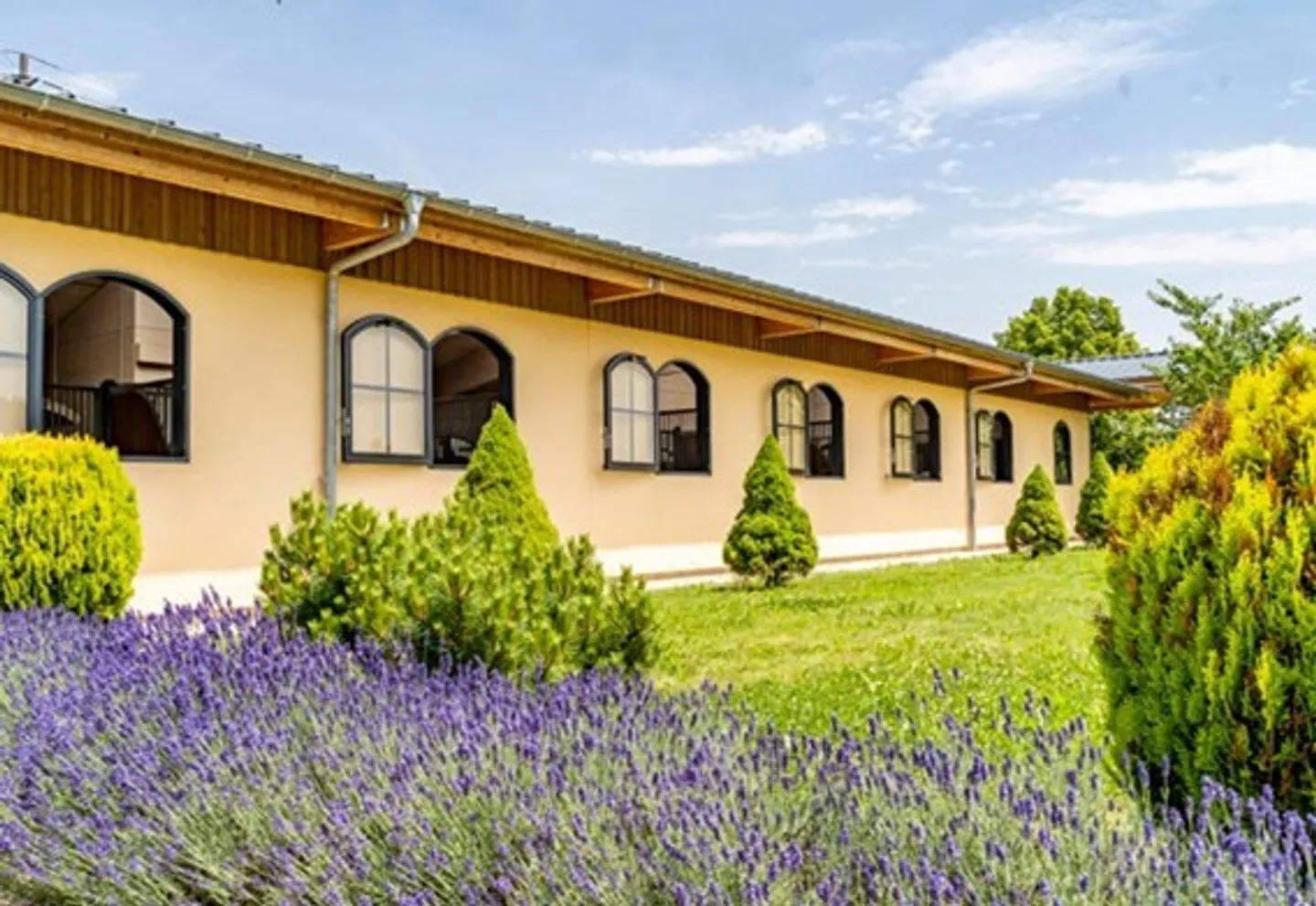 Établissement équestre avec arène - Photo 6 sur 10