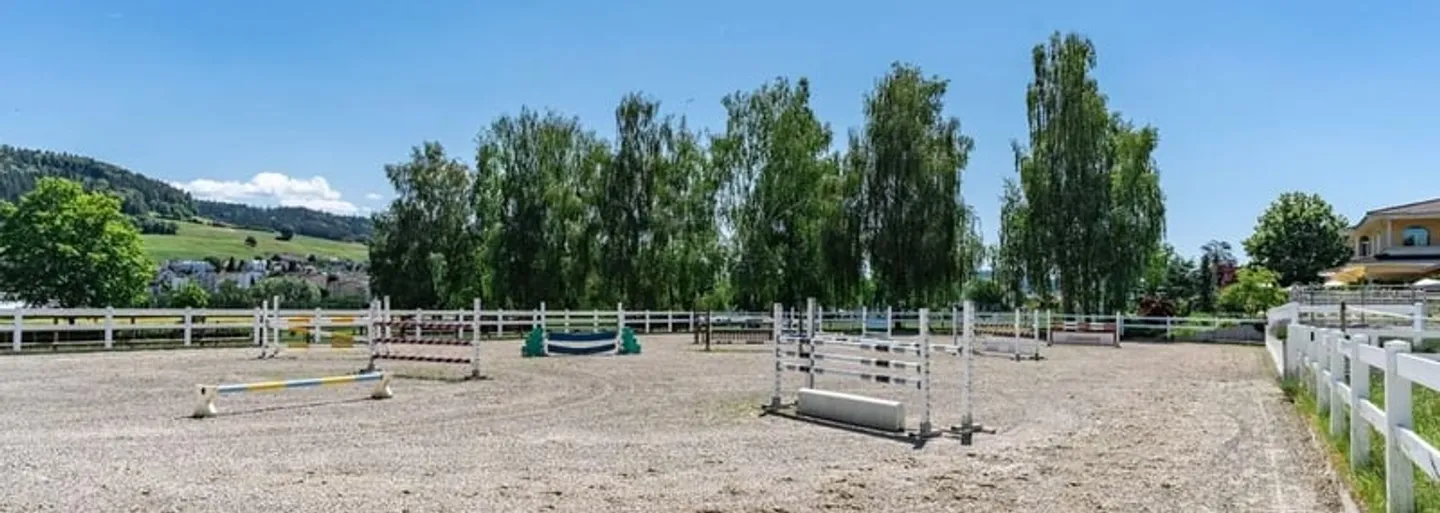 Établissement équestre avec arène - Photo 8 sur 10