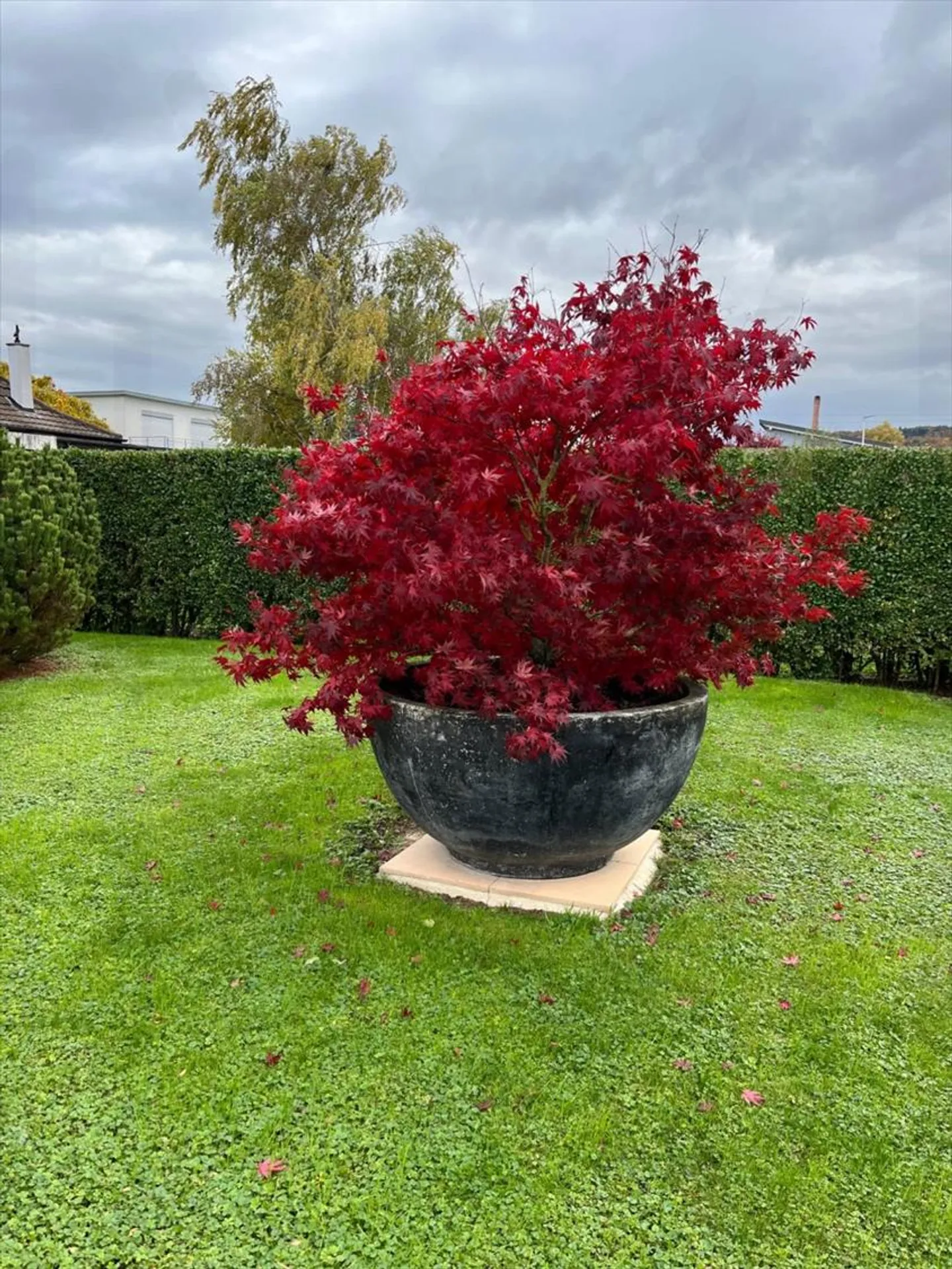 Beautiful 4.5 room detached house in the heart of a residential development - Photo 3 of 13