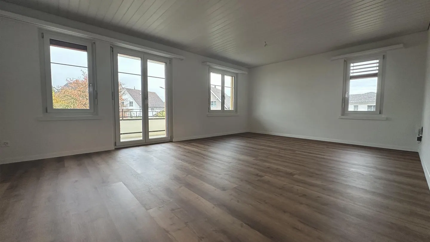 Appartamento 4 locali appena ristrutturato e accogliente - Foto 3 di 6