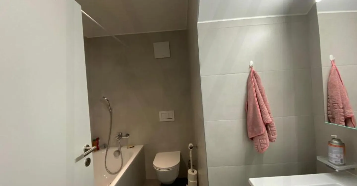 Appartamento 4.5 camere affascinante - Foto 9 di 11