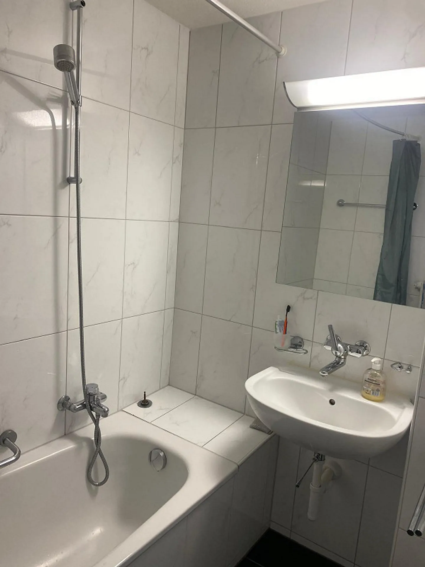 Bright apartment near the lake - Photo 6 of 9