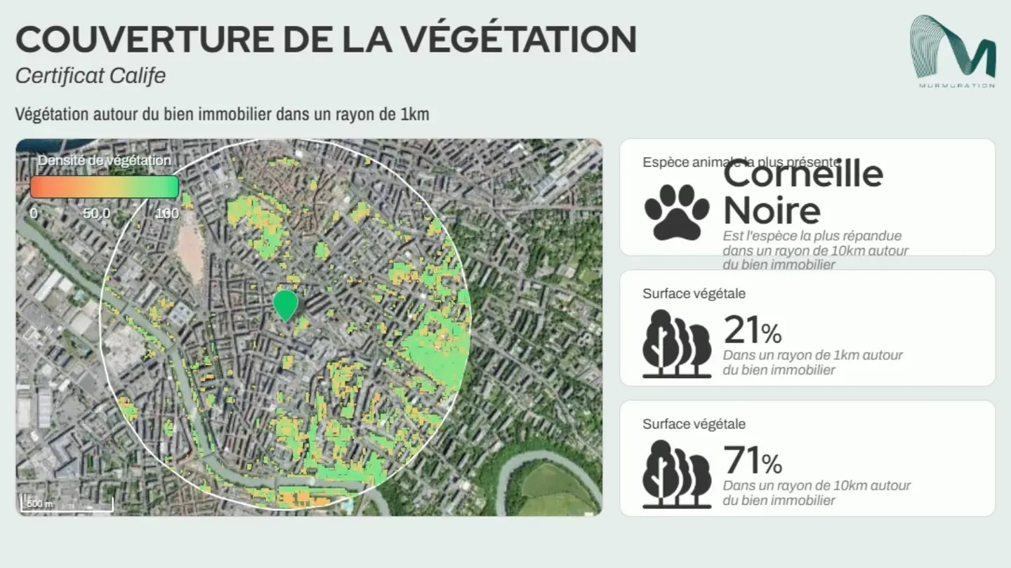 Appartamento Incantevole a Plainpalais - Foto 16 di 17