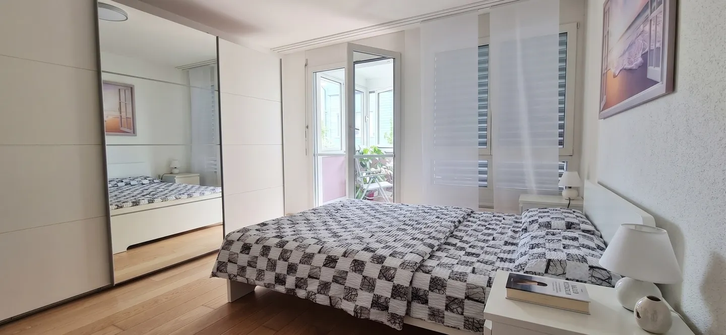 APPARTAMENTO 3½ STANZE A LANGWIESEN (ZH), ARREDATO, TEMPORANEO - Foto 6 di 9