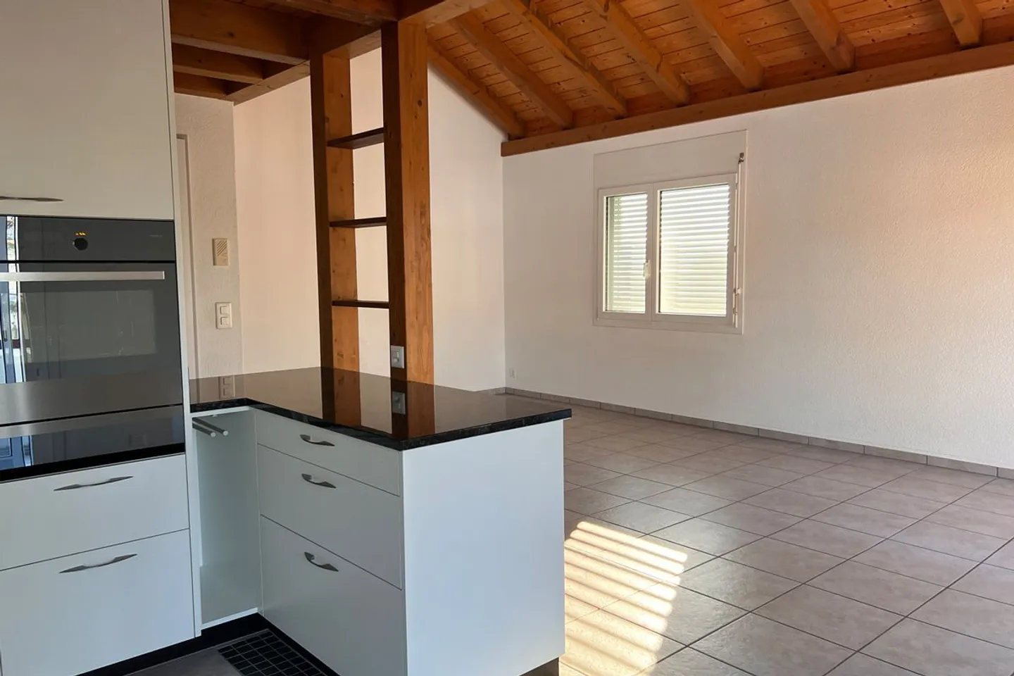 Spacious 4.5-room gallery apartment with partial lake view - Photo 1 of 13