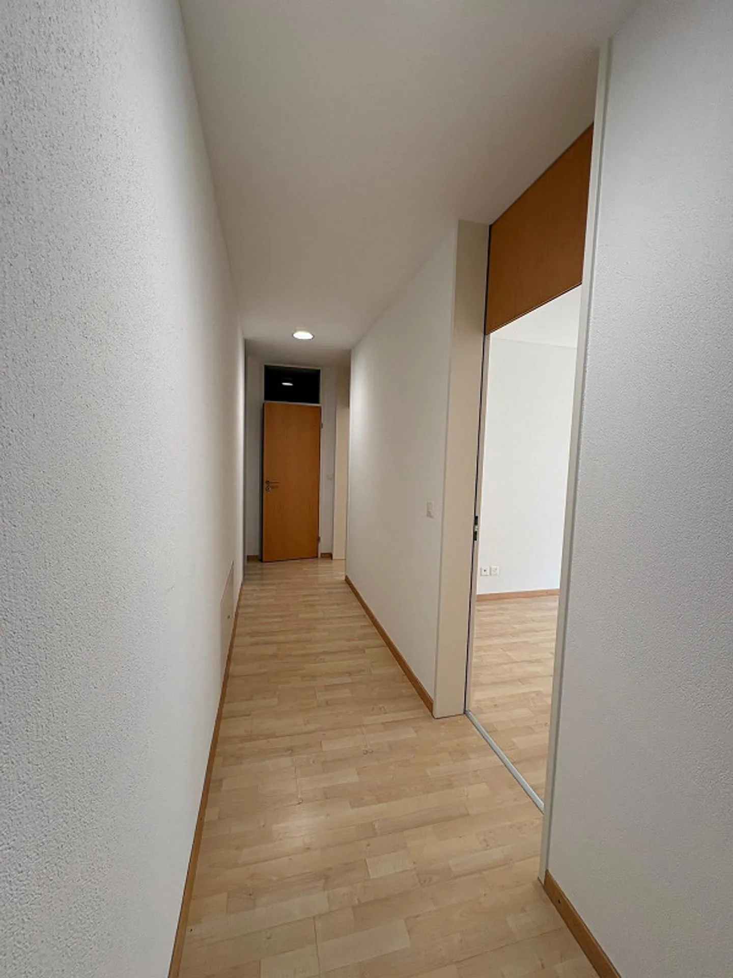 Central 3.5 Room Apartment in Sunny Location - Photo 12 of 18