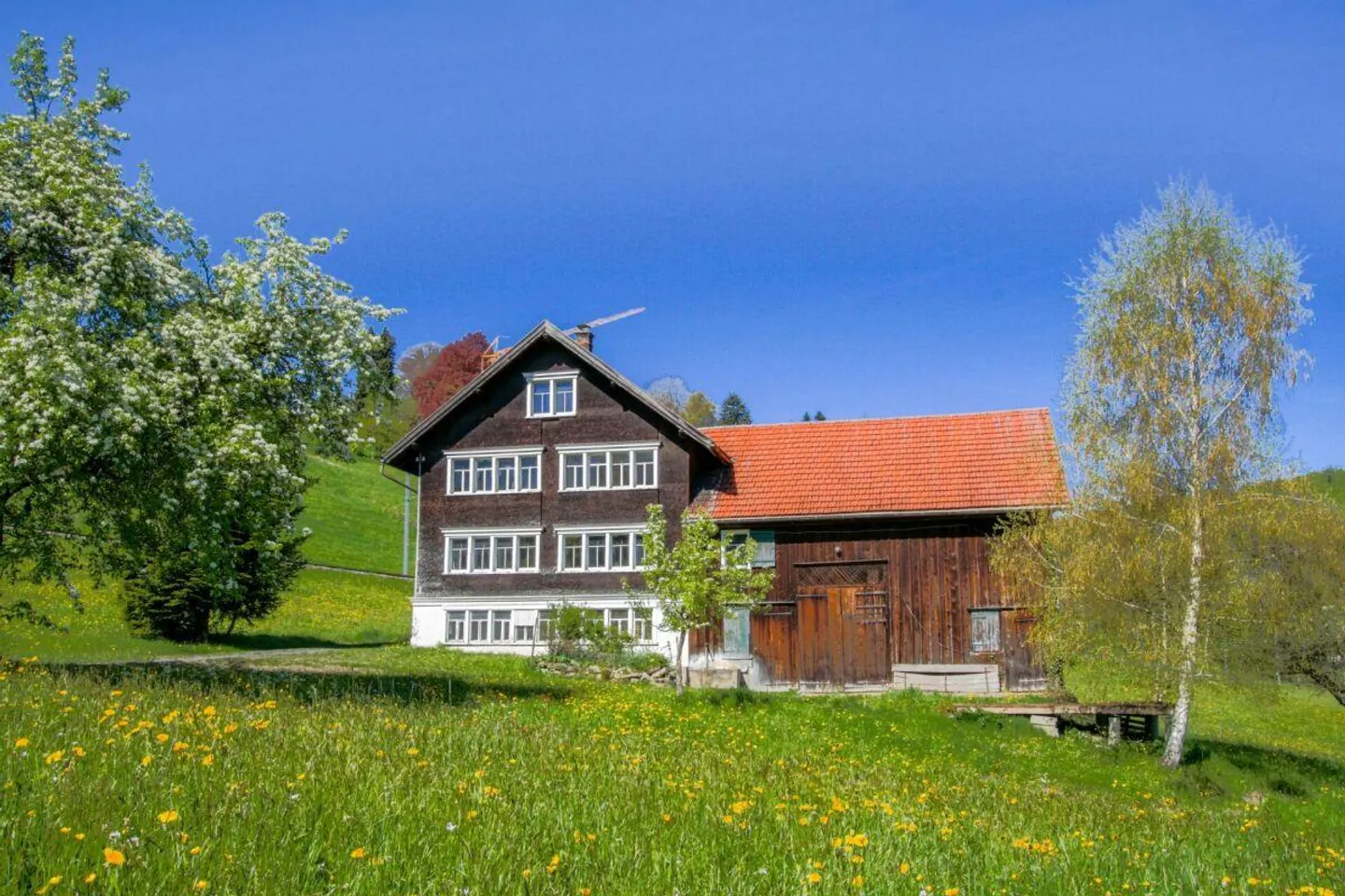 Appenzellerhaus Nordbächli - Photo 1 sur 8
