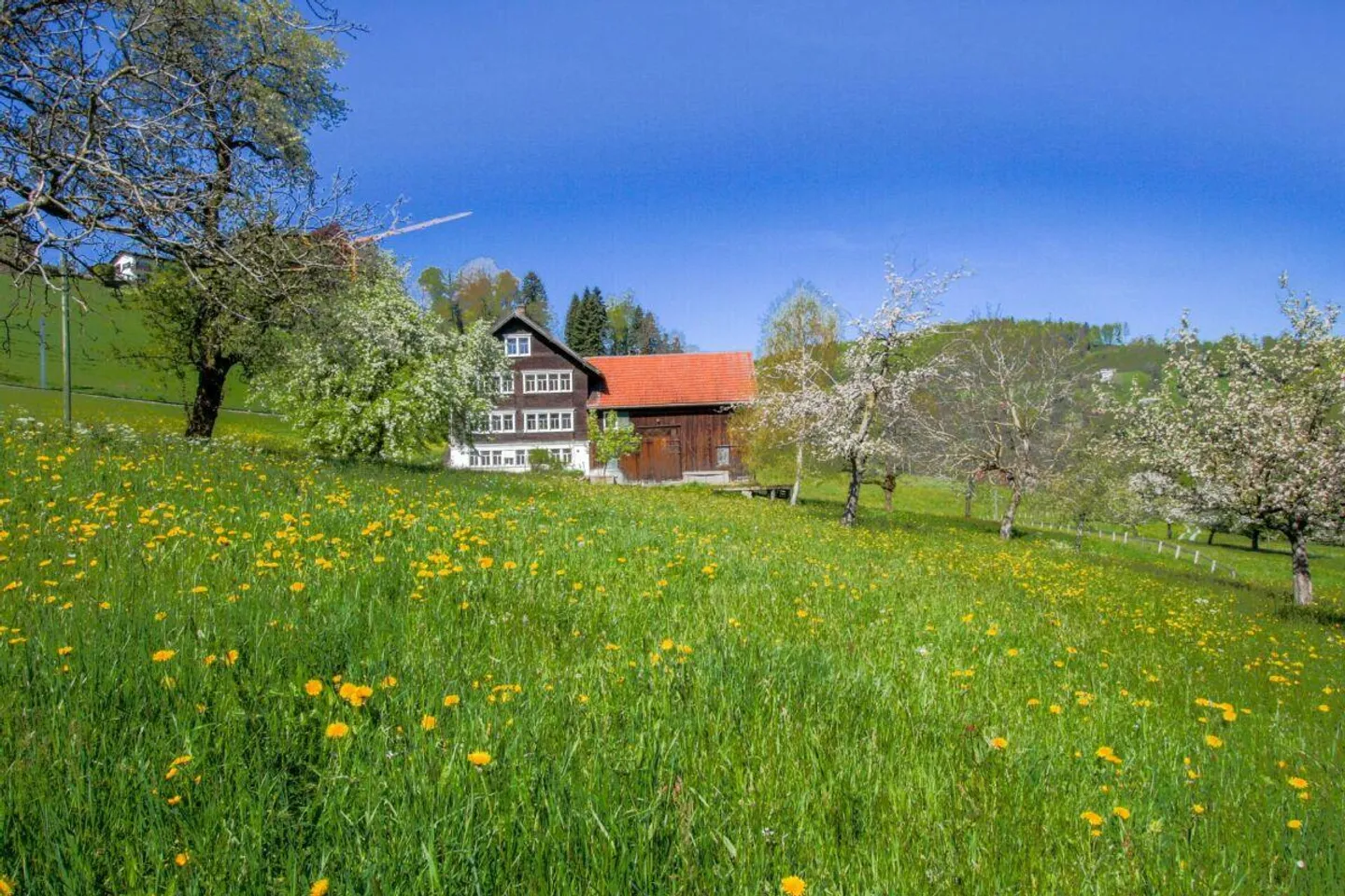 Appenzellerhaus Nordbächli - Photo 2 sur 8