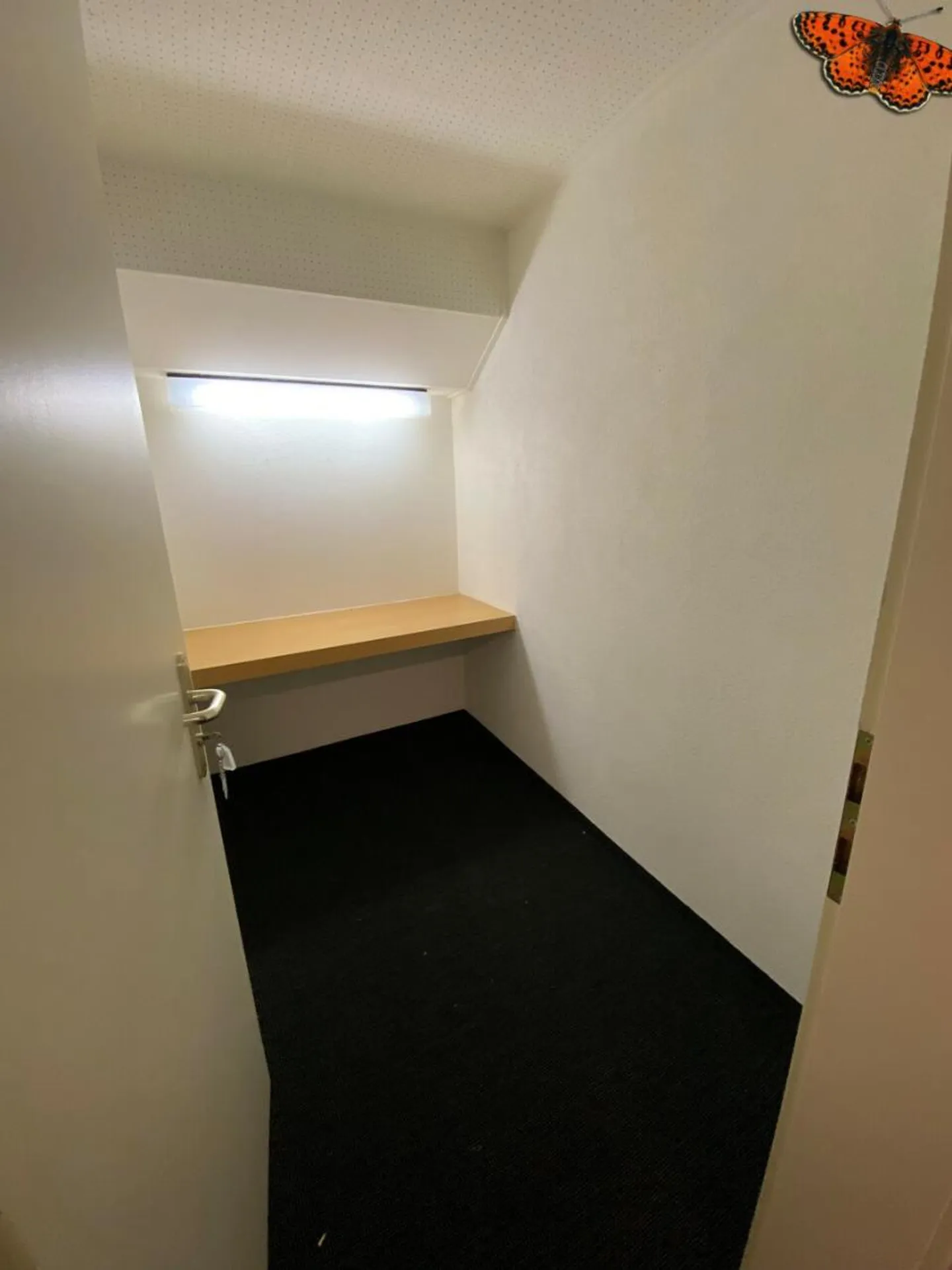 Einlage - Foto 3 von 4