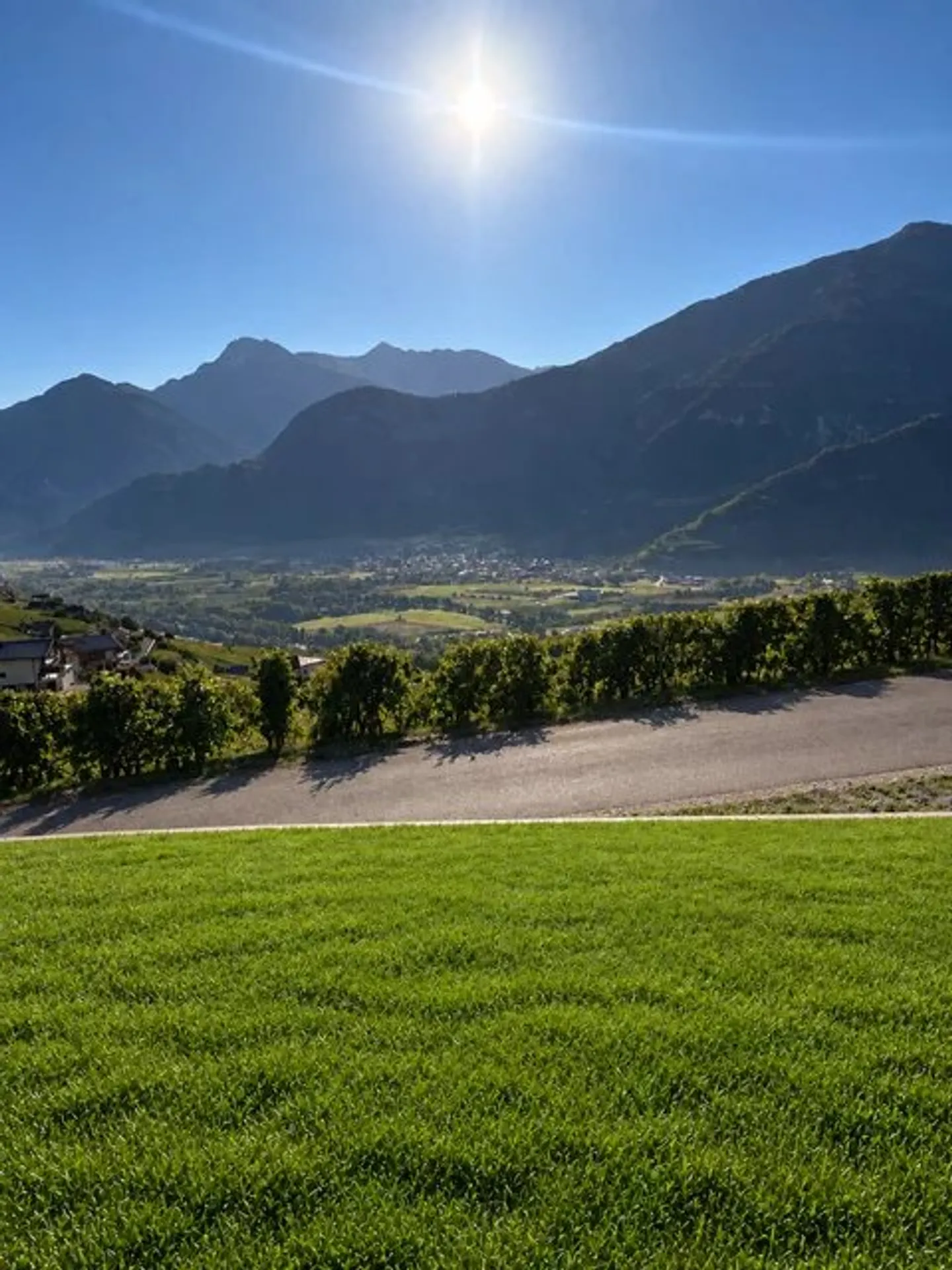 2 x 2,5 Zimmer neu mit Panoramablick und Terrasse - Foto 5 von 5