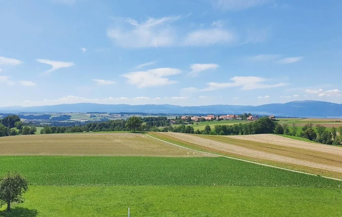 Bell'appartamento nel cuore della natura - Foto 6 di 6