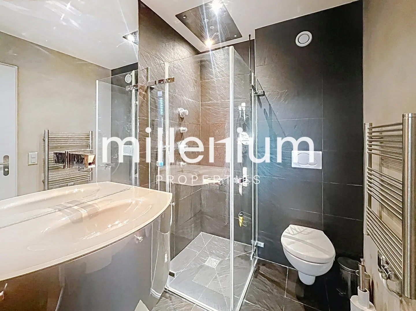 Loft meublé avec jardin et terrasse sur le toit - Photo 8 sur 12