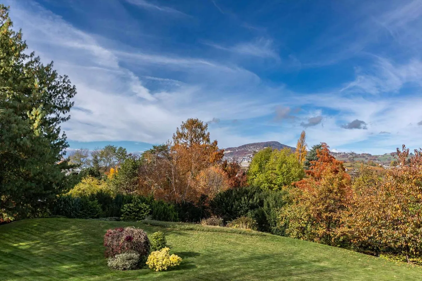 Maison jumelle à vendre - Photo 5 sur 13