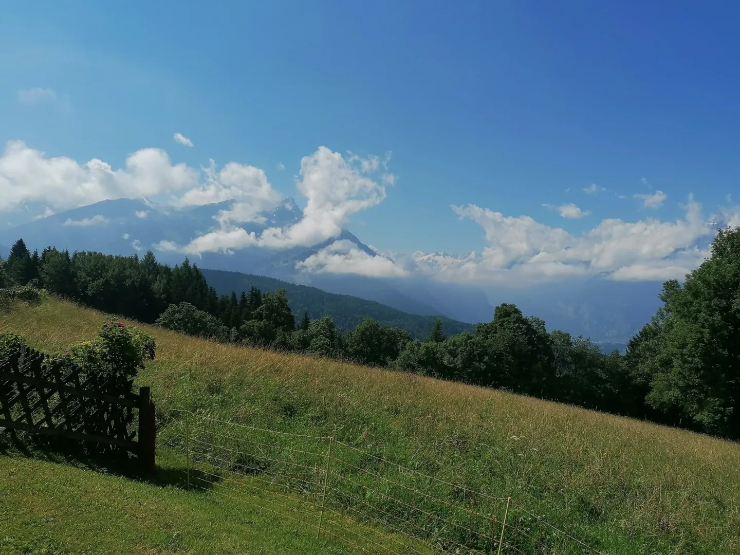 3-Zimmer-Wohnung - Foto 11 von 11